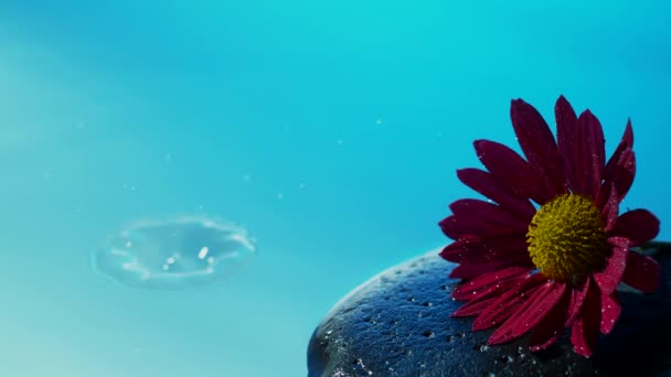 Spa Glanzende Zen Steen Met Opspattend Water Drop Slow Motion — Stockvideo