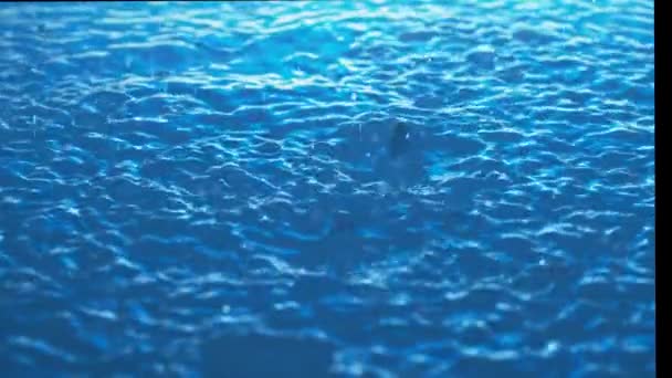 Regentropfen Treffen Zeitlupe Wellen Und Wellen Auf Die Wasseroberfläche Phantom — Stockvideo