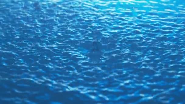 Les Gouttes Pluie Frappent Surface Eau Ralenti Aux Vagues Aux — Video