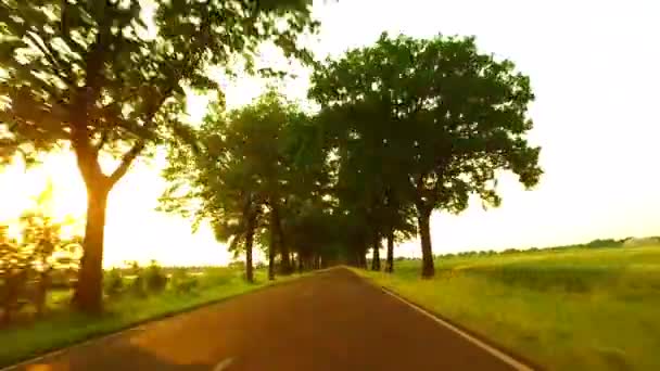 Besturen Van Een Auto Langs Een Zonnige Alley Oogpunt Auto — Stockvideo