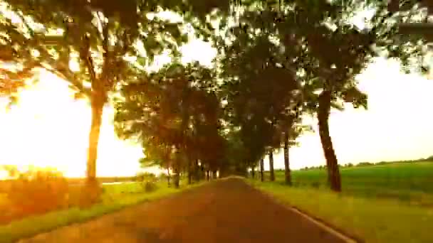 在一个阳光明媚的日子 开车在夕阳下的乡间小路上驱车行驶在一个阳光明媚的小巷里 景观与树木 田野和光交通胡同 阳光与镜头耀斑 旅行和运输概念 — 图库视频影像
