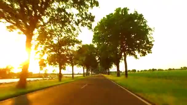 Auto Fahren Entlang Einer Sonnigen Gasse Sicht Auto Fahren Bei — Stockvideo