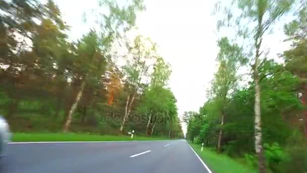 Car Overtaking Road Car Driving Forest Road Dusk Travel Transportation — Stock Video