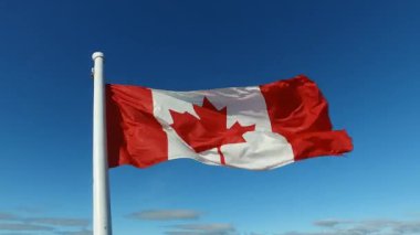 Kanada derin mavi gökyüzü karşı güçlü rüzgarda sallayarak bayrak.