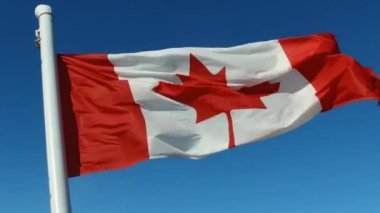 Kanada derin mavi gökyüzü karşı güçlü rüzgarda sallayarak bayrak.