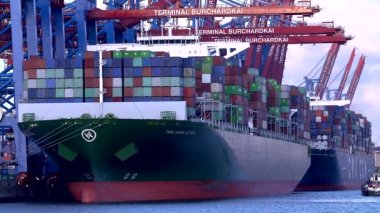 Konteyner gemileri eklentiyi veya Burchartkai ve Eurokai, Almanya Hamburg liman içinde onların kargo yük.