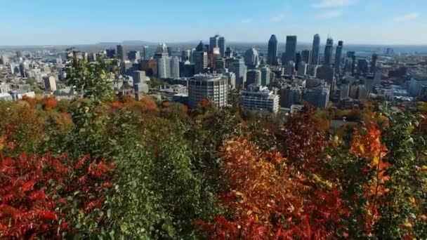 Vue Panoramique Sur Skyline Montréal — Video