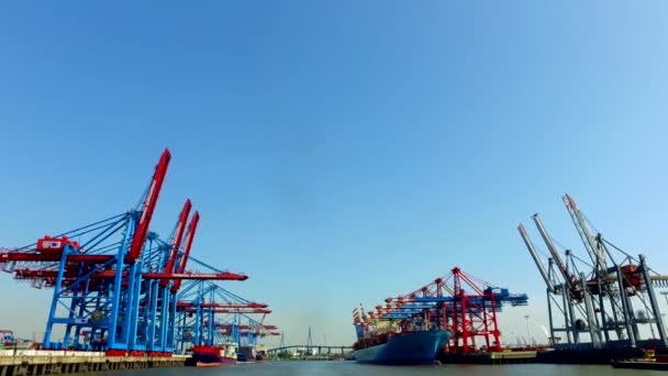 Containerschepen Lossen Laden Van Hun Lading Haven Van Hamburg Burchartkai — Stockvideo