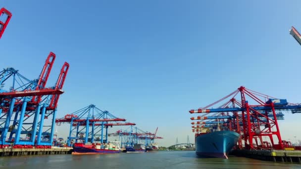 Containerschepen Lossen Laden Van Hun Lading Haven Van Hamburg Burchartkai — Stockvideo
