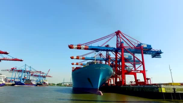 Navios Porta Contentores Descarregam Carregam Sua Carga Porto Hamburgo Burchartkai — Vídeo de Stock