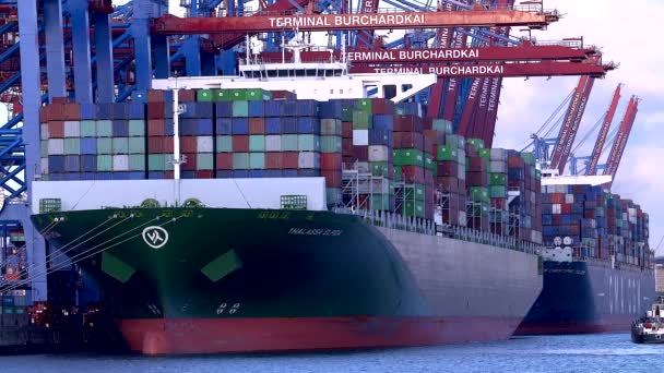 集装箱船在德国 Burchartkai Eurokai 的汉堡港卸货或装载货物 — 图库视频影像
