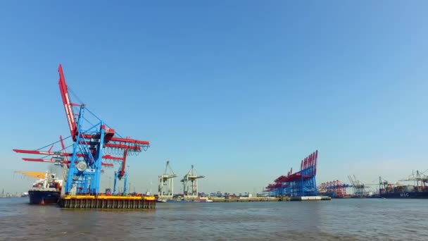 Navios Porta Contentores Descarregam Carregam Sua Carga Porto Hamburgo Burchartkai — Vídeo de Stock