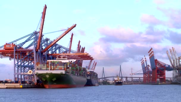 Navios Porta Contentores Descarregam Carregam Sua Carga Porto Hamburgo Burchartkai — Vídeo de Stock