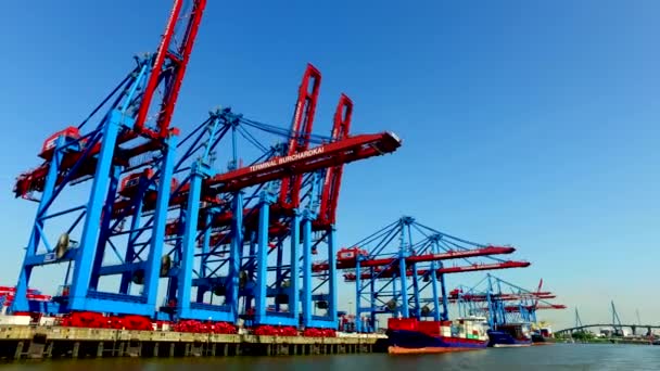 Containerschepen Lossen Laden Van Hun Lading Haven Van Hamburg Burchartkai — Stockvideo