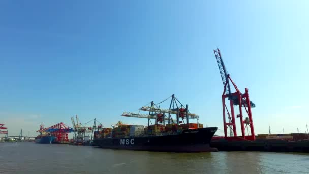 Navios Porta Contentores Descarregam Carregam Sua Carga Porto Hamburgo Burchartkai — Vídeo de Stock