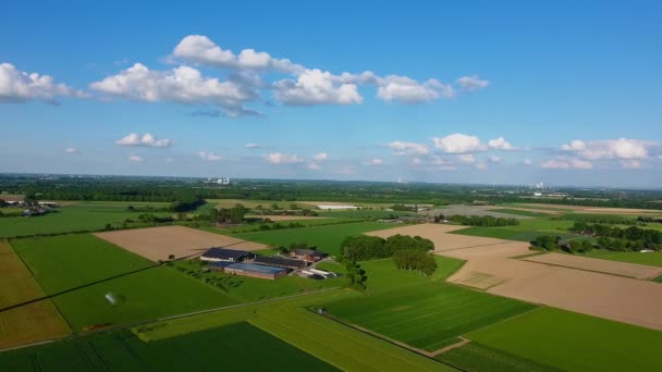 Luchtfoto Van Windturbines Bij Zonsondergang Landelijk Gebied Regio Neder Rijn — Stockvideo