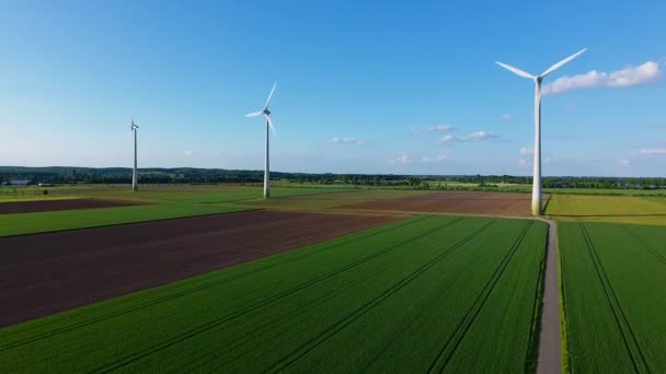 Luftaufnahme Von Windkraftanlagen Ländlichen Raum Die Grüne Energie Einer Gesunden — Stockvideo