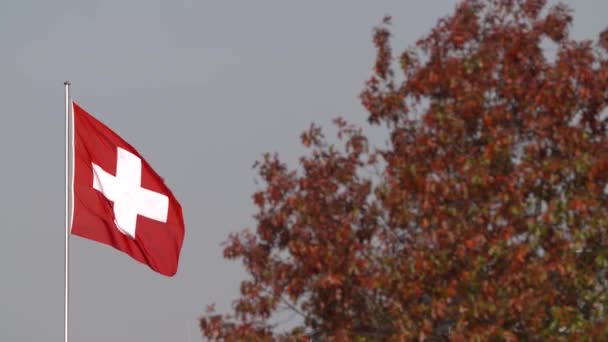 Svájci Nemzeti Zászló Svájci Nagykövetség Berlinben Lassú Mozgású Felvétel 60Fps — Stock videók