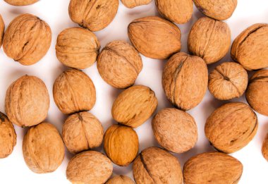 Ceviz beyaz grubudur. Sağlıklı gıda kavramı. Görünümü yukarıdaki.