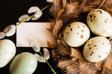 Paskalya yumurtaları, söğüt dalı ve tüyler yuva