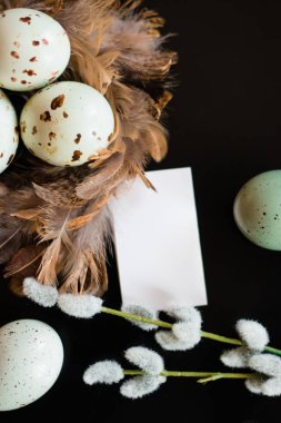 Paskalya yumurtaları, söğüt dalı ve tüyler yuva