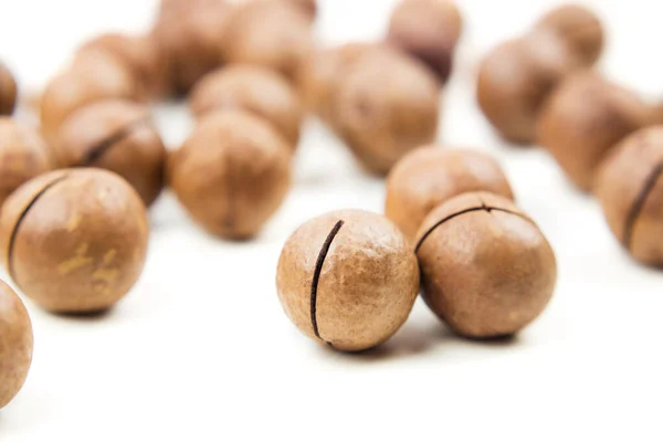 Nueces de macadamia enteras sin pelar crudas aisladas en blanco —  Fotos de Stock