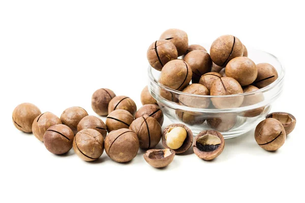 Raw not peeled whole macadamia nuts with shelled kernels in glas — Stock Photo, Image