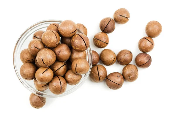 Raw not peeled whole macadamia nuts in glass bowl — Stock Photo, Image