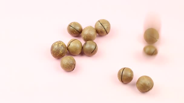 Nueces Macadamia Enteras Crudas Peladas Sobre Fondo Rosa Que Caen — Vídeos de Stock