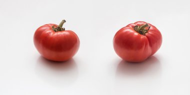 çirkin domates grup