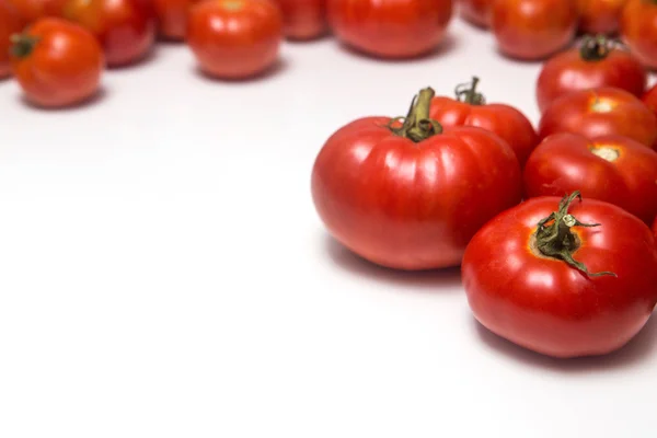 Свежие помидоры на белом — стоковое фото
