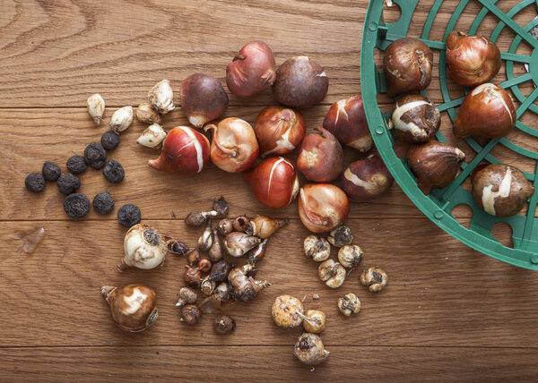 конец вегетационного периода
