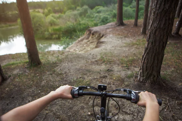 In the pines — Stock Photo, Image