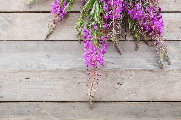 Fireweed em madeira — Fotografia de Stock