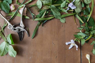 Çiçek Dükkanı arka plan