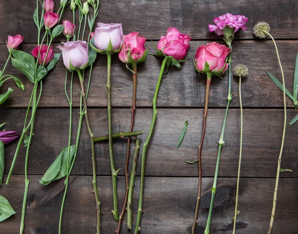 Fondo de floristería — Foto de Stock