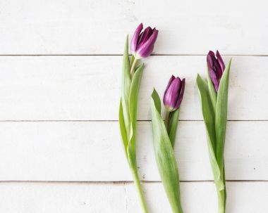 Çiçek Dükkanı arka plan