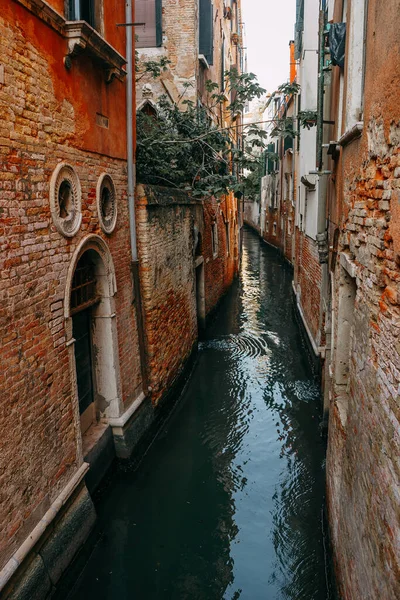 Вузький Канал Води Між Житловими Будинками Червоної Цегли Веніс Італія — стокове фото