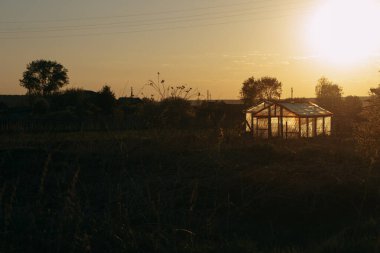 Köyde akşam manzarası. Bitki yetiştirmek için büyük cam seralar. (124; KOROVYAKOVA, SVERDLOVSKAYA OBLAST - 9 Mayıs 2020.