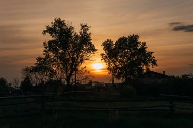 Batan güneş iki kavak arasında batar: KOROVYAKOVA, SVERDLOVSKAYA OBLAST - 9 Mayıs 2020.