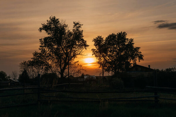 The setting sun sets between two poplars | KOROVYAKOVA, SVERDLOVSKAYA OBLAST - 9 MAY 2020.