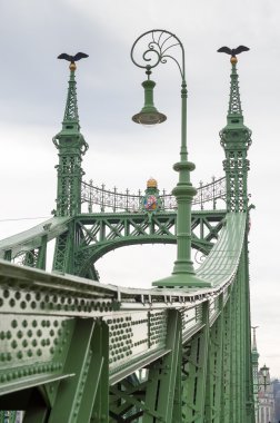 Budapeşte, Macaristan 'daki Özgürlük Köprüsü.
