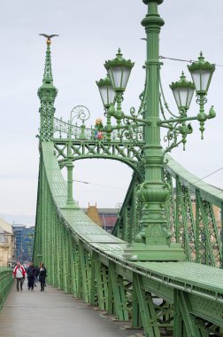 Budapeşte Özgürlük Köprüsü'nde Turistler, Macaristan.