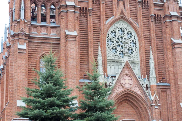 Den obefläckade avlelsen av heliga jungfru Maria katedral — Stockfoto
