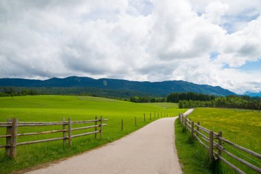 Dar yol yeşil alana Bavyera Alpleri geçerek.