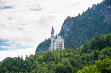 Dünyaca ünlü Neuschwanstein Şatosu güzel görünümü