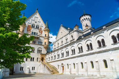 Muhteşem New kuğu taş Castle - Schwangau, Bavyera, Almanya'nın çevrili bir uçurum Schloss Neuschwanstein tünemiş