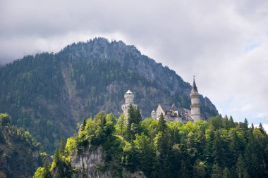 Muhteşem New kuğu taş Castle - Schwangau, Bavyera, Almanya'nın çevrili bir uçurum Schloss Neuschwanstein tünemiş