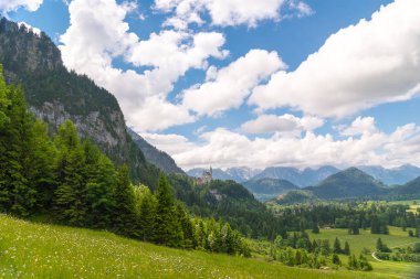 Muhteşem New kuğu taş Castle - Schwangau, Bavyera, Almanya'nın çevrili bir uçurum Schloss Neuschwanstein tünemiş