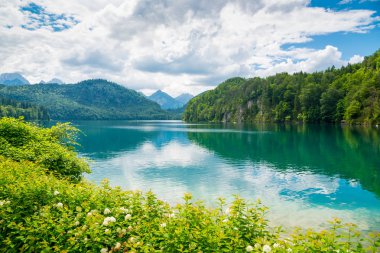 Bir göldür Bavaria, Almanya için Alpsee.